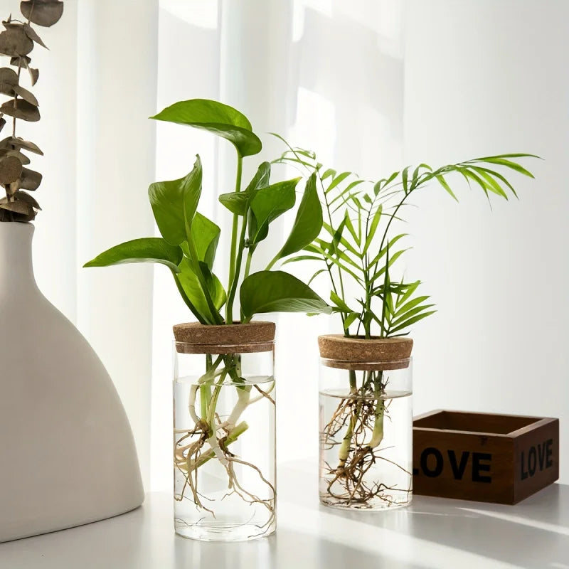 Hydroponic Glass Planter Vase