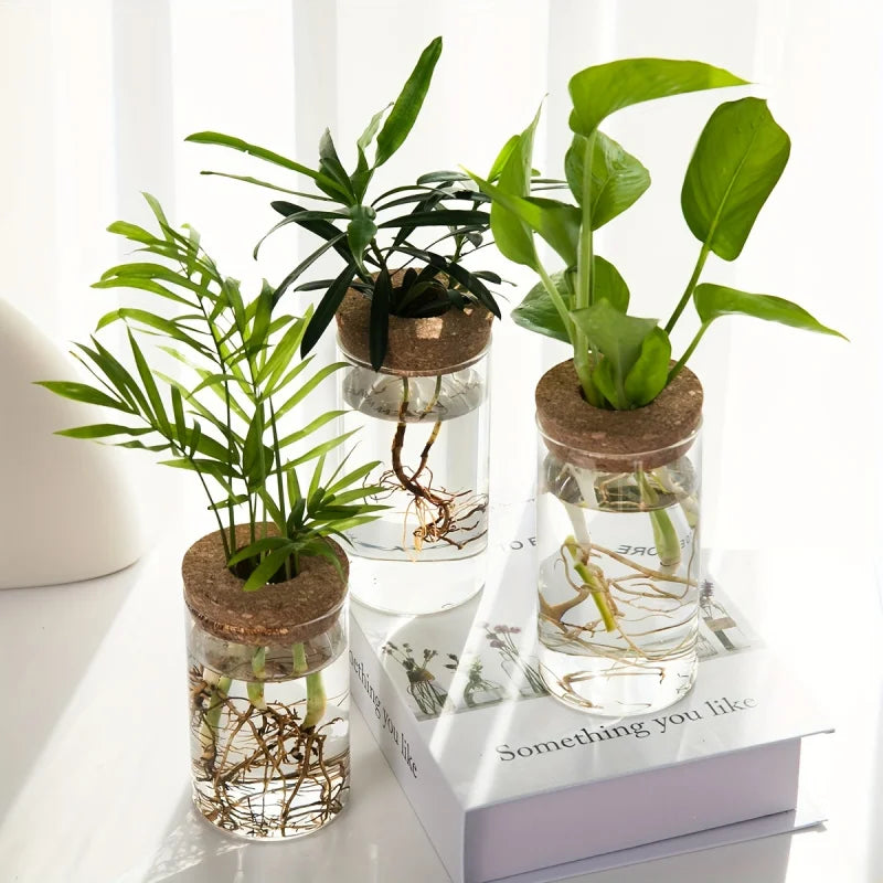 Hydroponic Glass Planter Vase