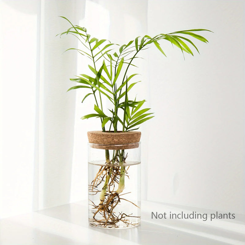 Hydroponic Glass Planter Vase