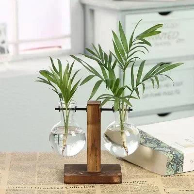 Hydroponic Glass Plant Terrarium